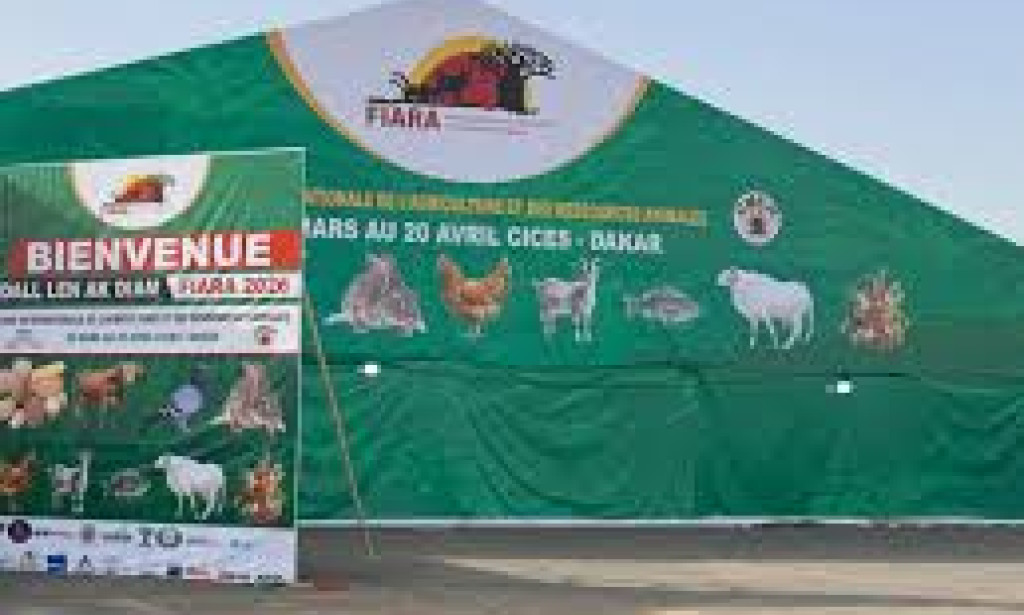 FIARA 2026: Pape Abdou Fall tire un bilan satisfaisant