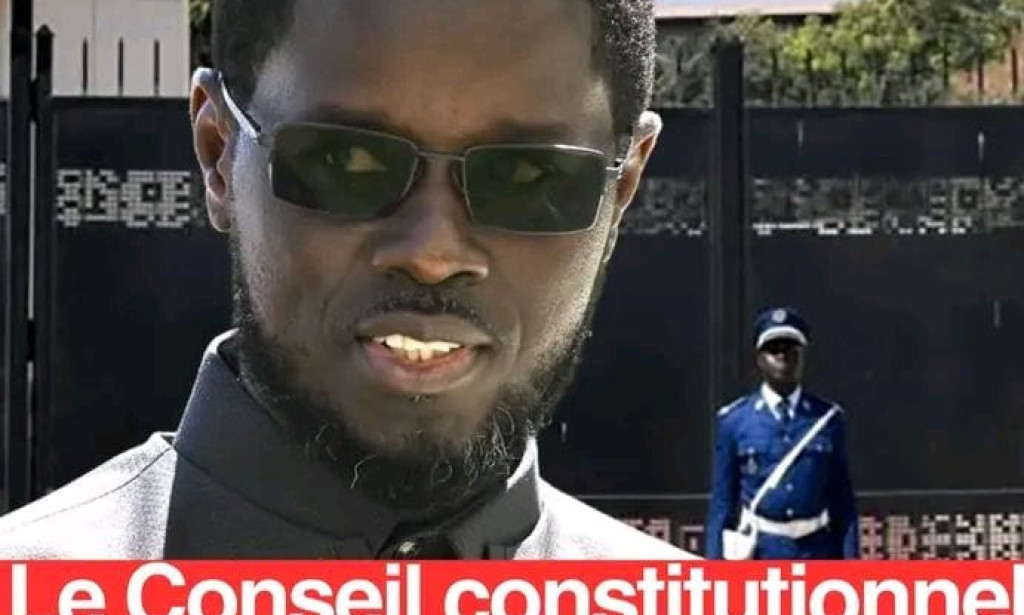 Révision constitutionnelle : le Conseil constitutionnel invalide la loi votée par l'Assemblée nationale